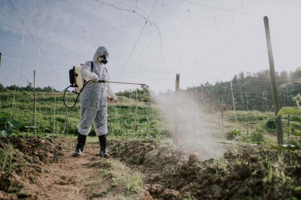 Best Local Pest Control Services  in Sardis City, AL