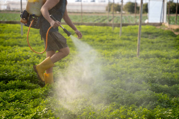 Best Pest Control Near Me in Sardis City, AL