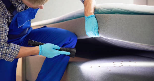 Best Affordable Pest Control Services  in Sardis City, AL