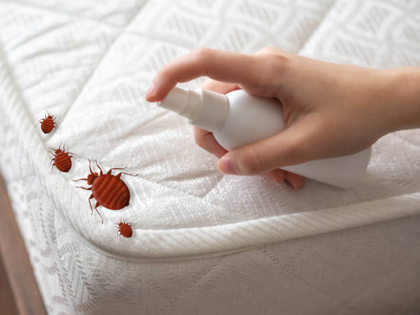 Professional Pest Control in Sardis City, AL